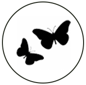 Butterfly Garden